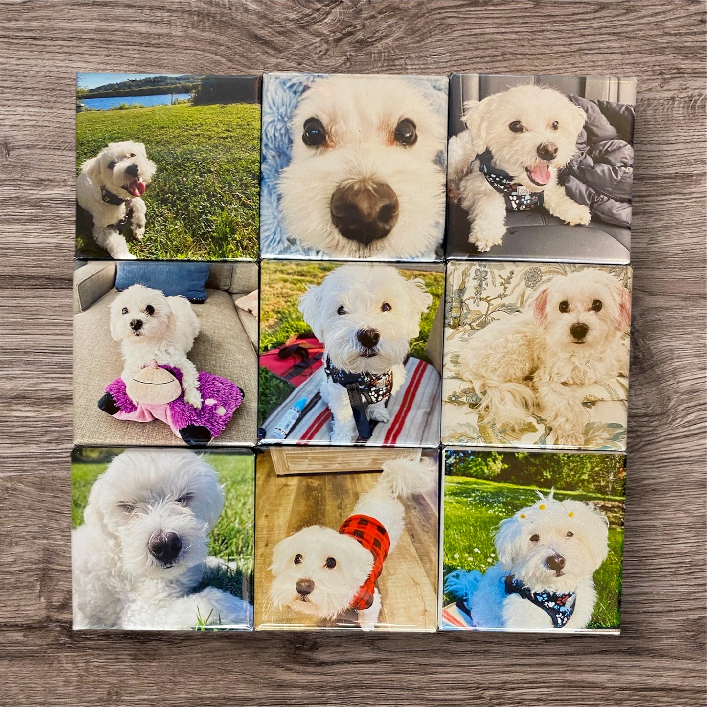 Custom Photo Magnet